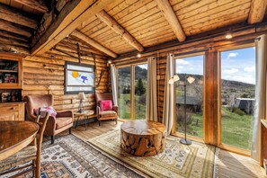 Smart TV, fireplace, books, stereo