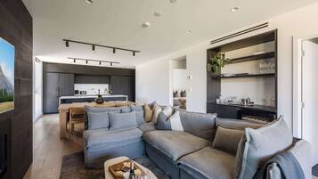 TV, fireplace
