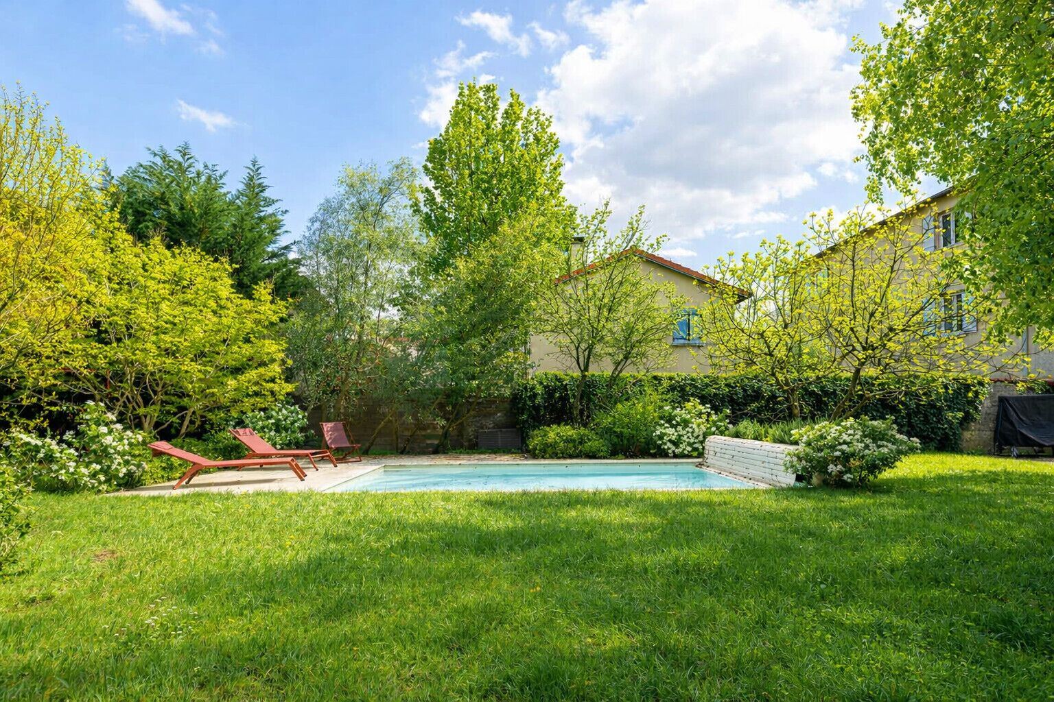 A backyard with a swimming pool, green lawn, and trees.