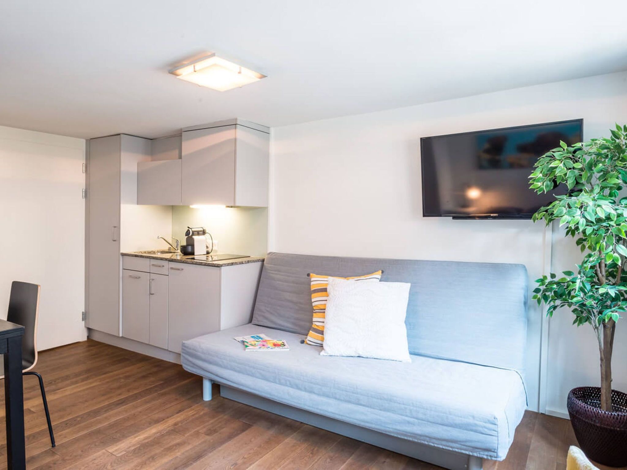 A compact living space with a kitchenette, a sofa, a flat-screen TV, and a potted plant.