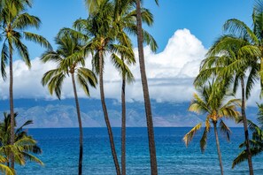 Une plage tropicale bordée de palmiers, avec une chaîne de montagnes en arrière-plan.