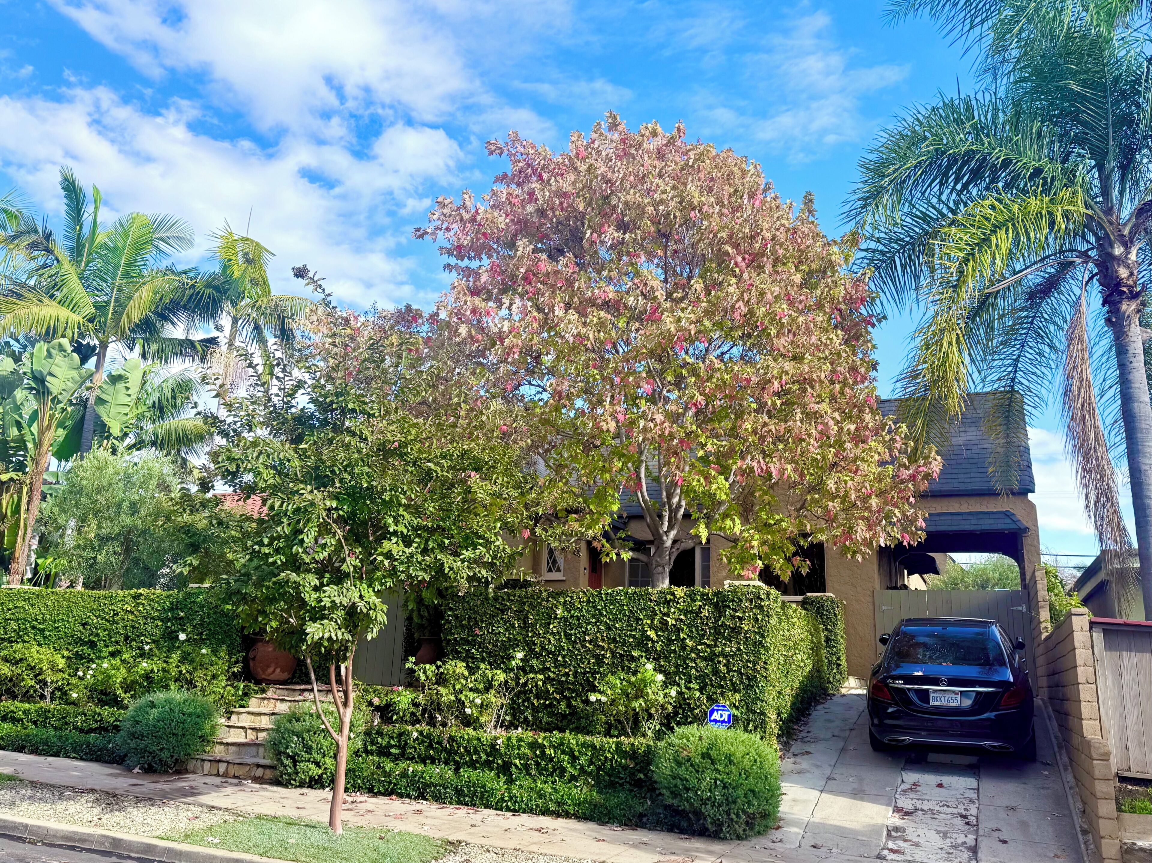 Jardines del alojamiento