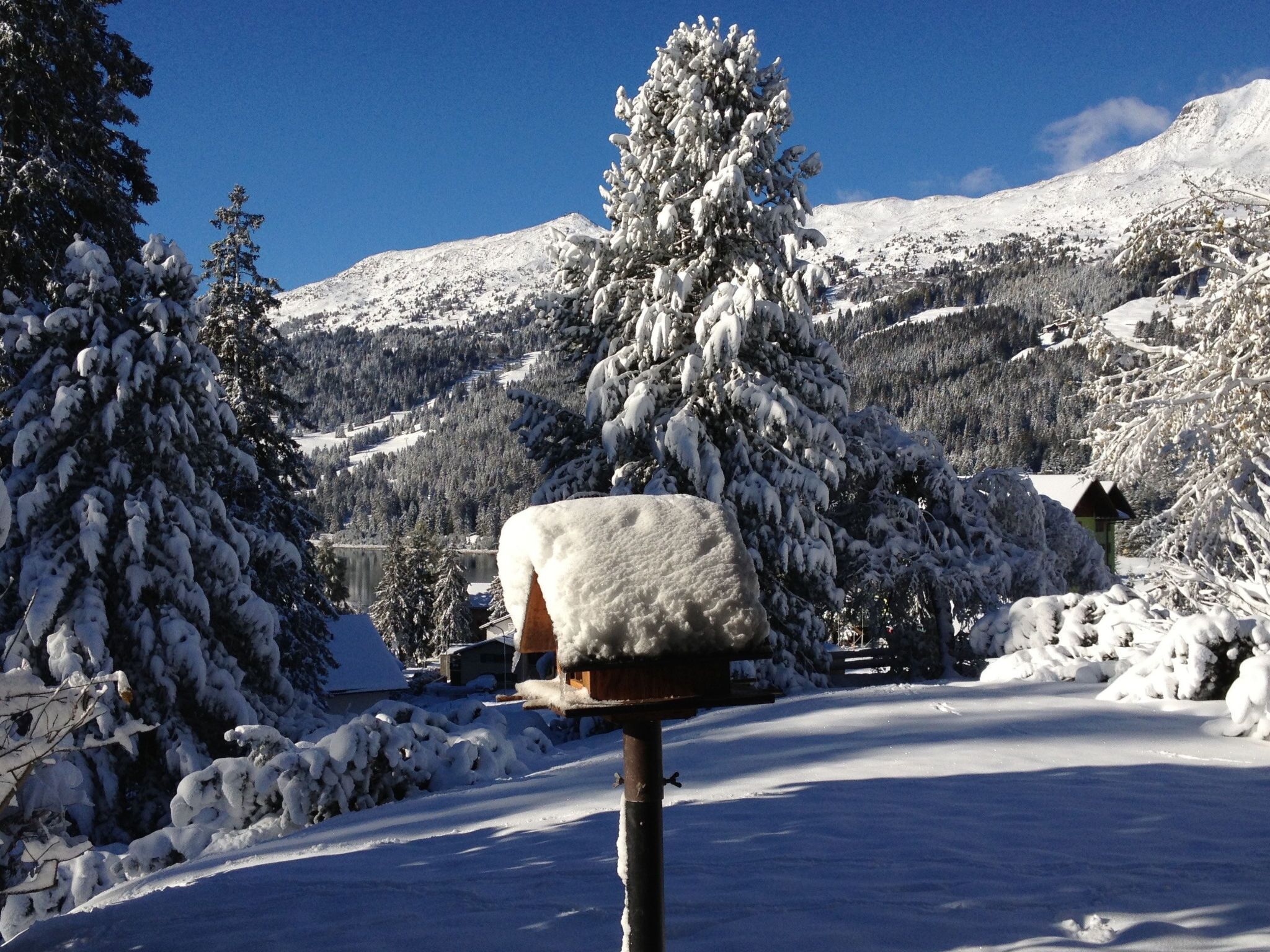 Un paysage enneigé avec une boîte aux lettres, des arbres et une montagne en arrière-plan.