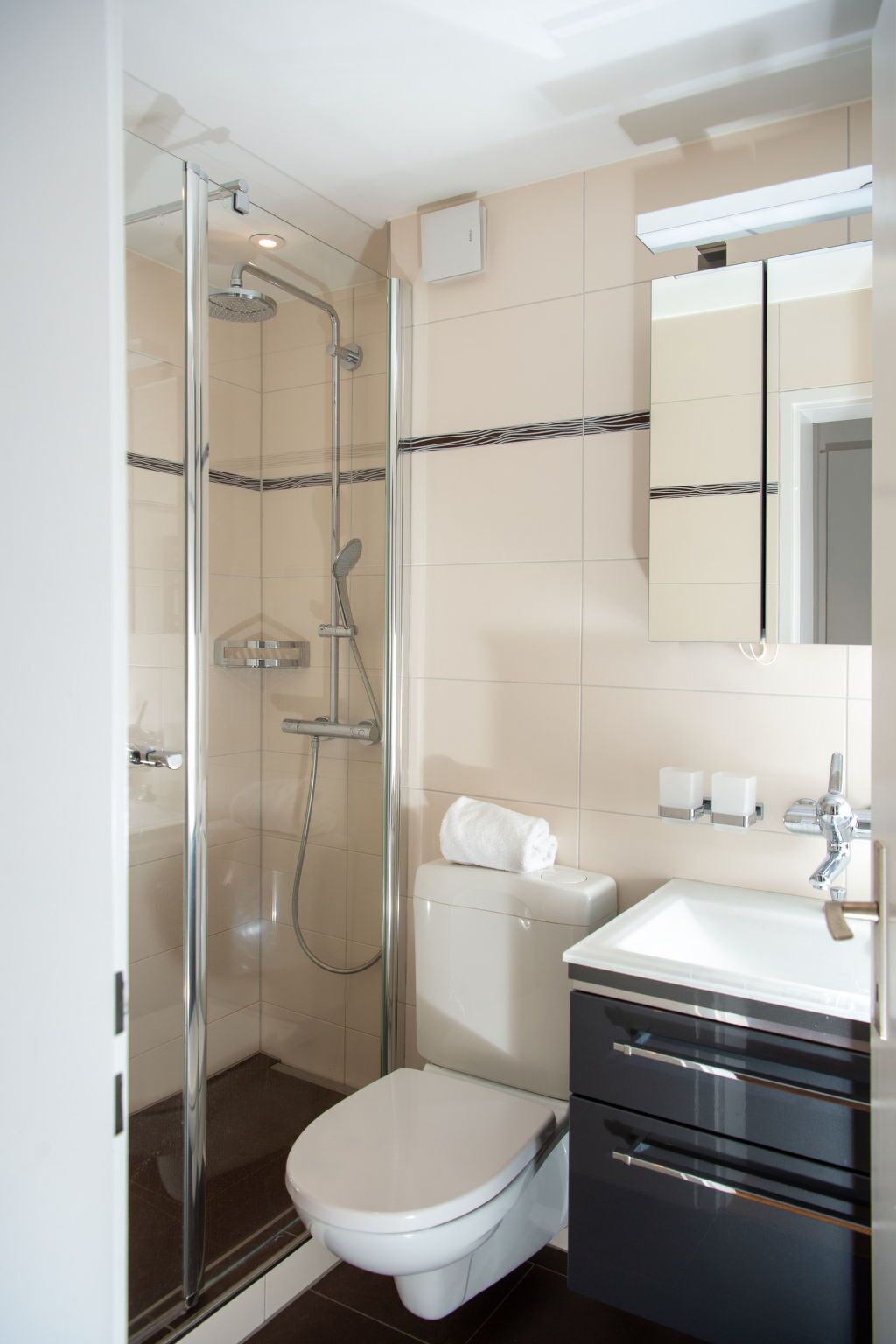 A modern bathroom with a glass-enclosed shower, a white toilet, and a dark-toned vanity with a mirror.