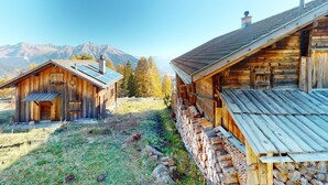 Eksteriør