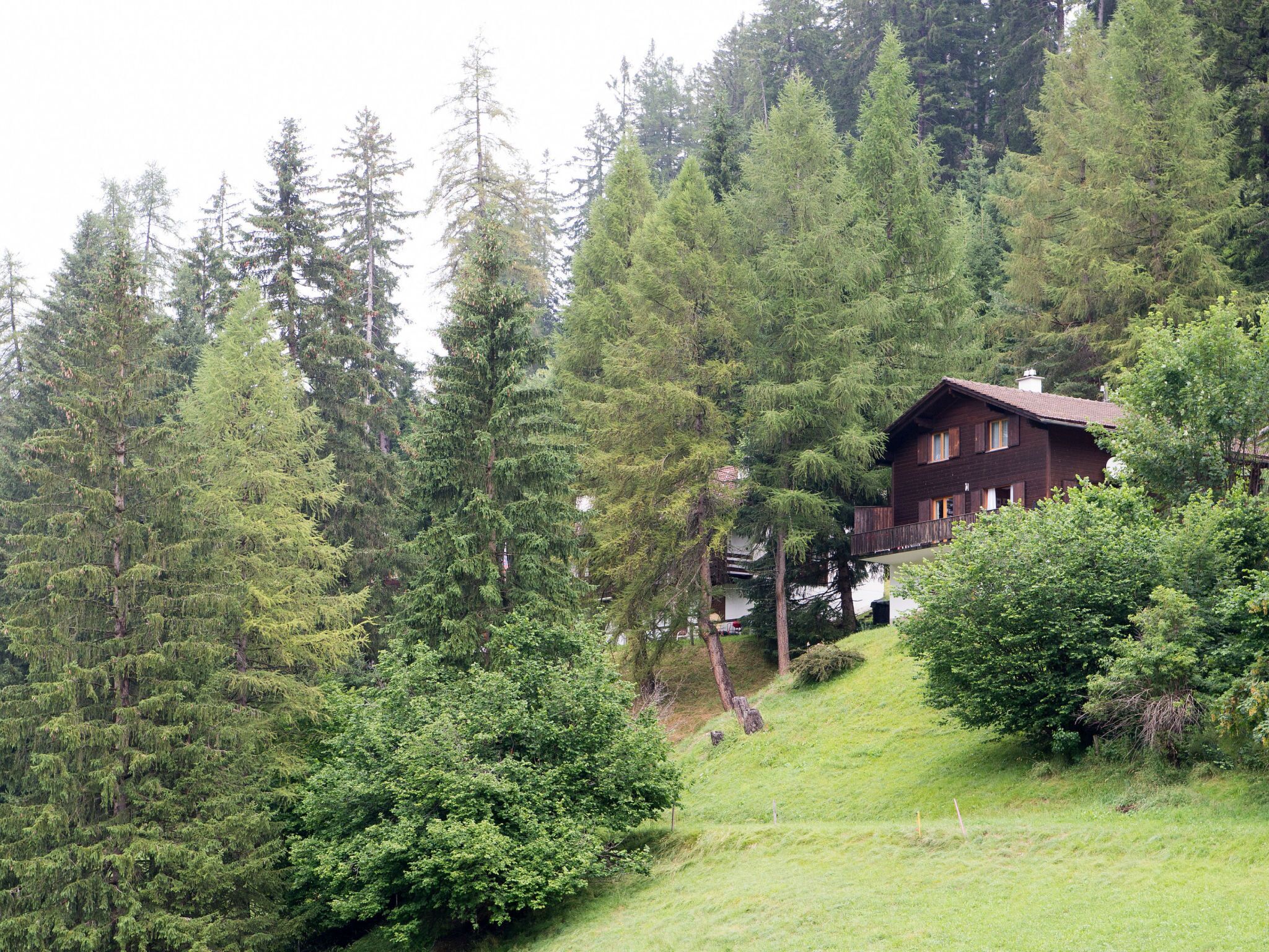 Eine Holzdiele mit Balkon, umgeben von dichtem Wald und einem grasbewachsenen Hügel.