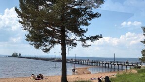A beach with a pier extending into the water, a large tree, and people relaxing on the sand. - Summer House Sweden in Rättvik for 9 people by Interhome (Rättvik)