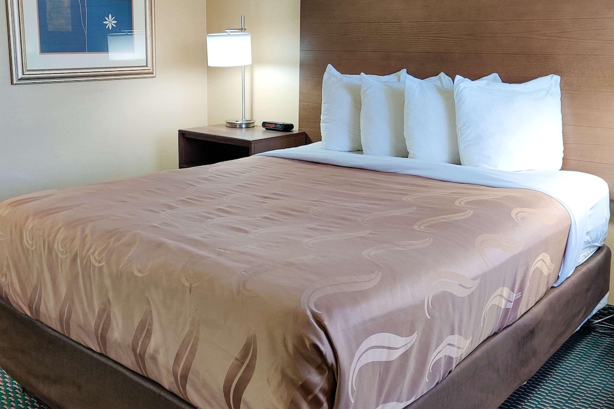 A hotel room with a large bed, a nightstand with a lamp, and a framed picture on the wall.