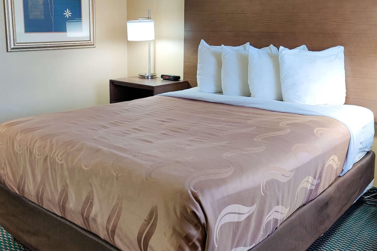 Una habitación de hotel con una cama grande, una mesita de noche con lámpara y un cuadro en la pared.