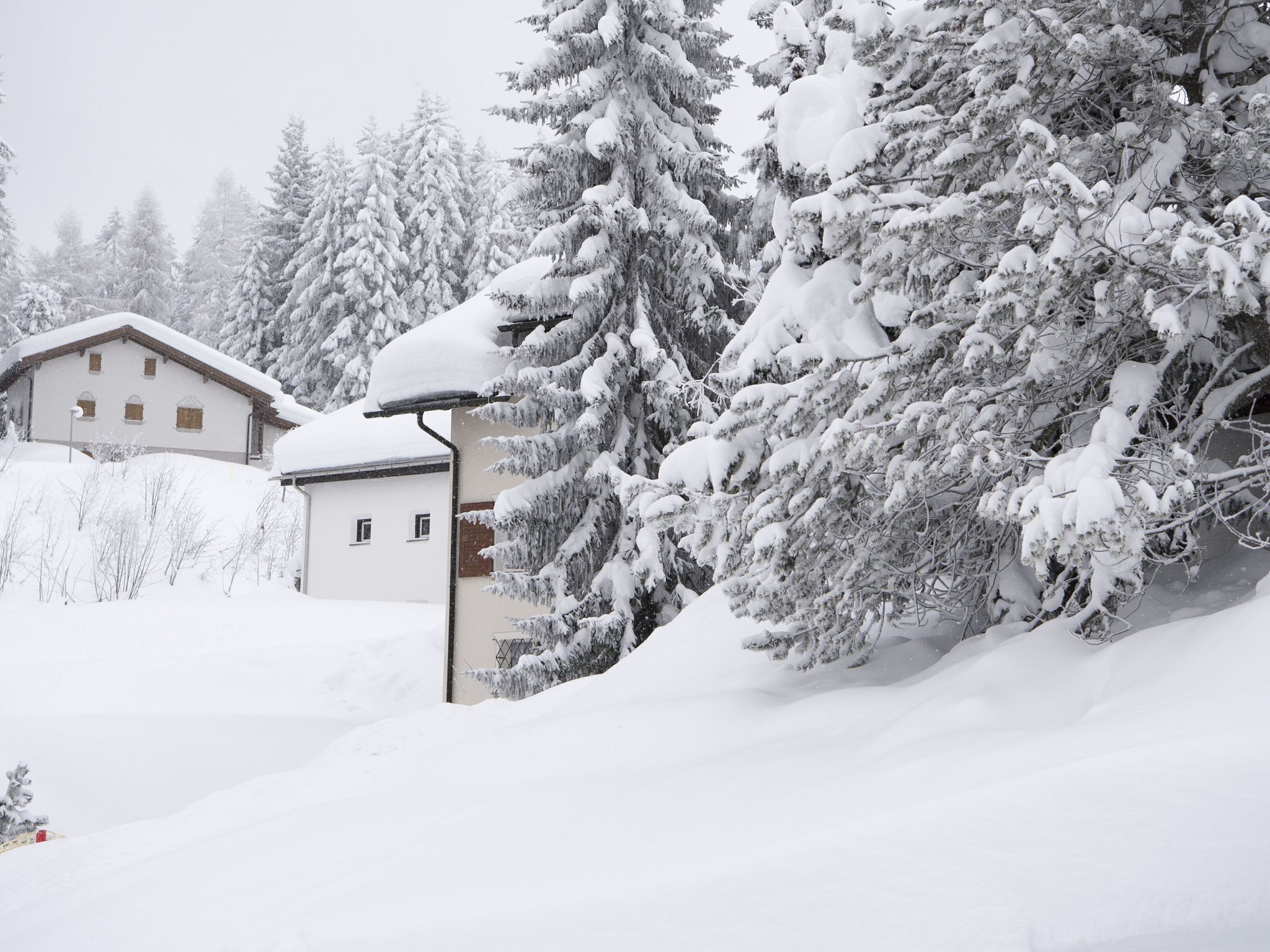 Schneebedeckte Landschaft mit einem Gebäude und Bäumen.