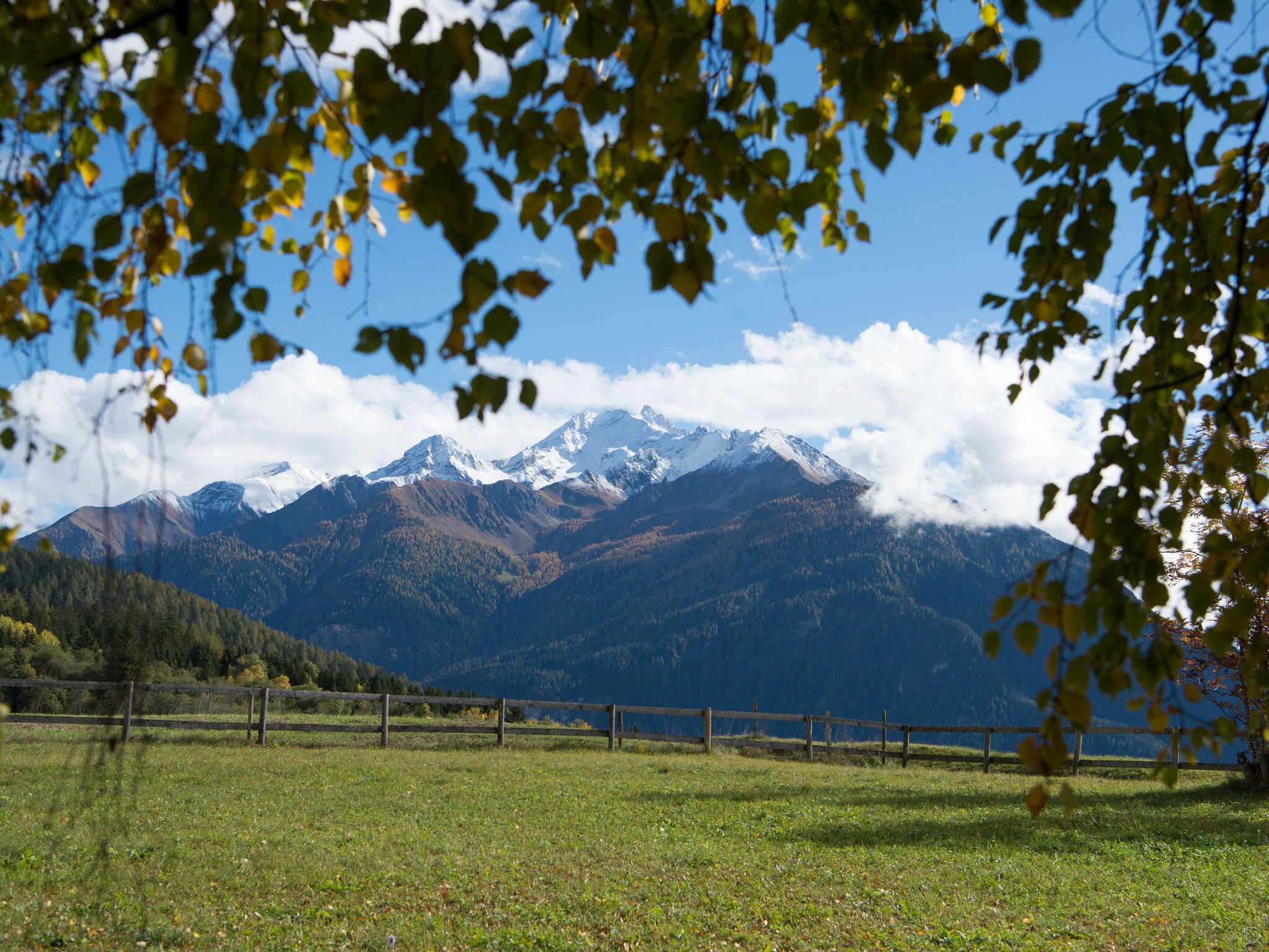Eine Berglandschaft mit blauem Himmel, einem Holenzaun und einem grasbewachsenen Vordergrund.