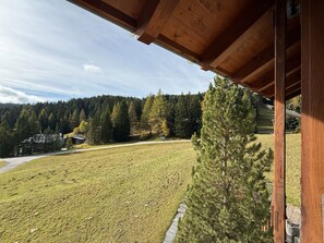 A wooden cabin with a view of a forested hillside. - 1608 Acla Pala by Interhome (Lenzerheide)