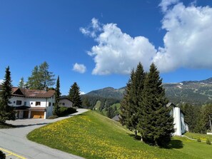 A house with a garage, surrounded by a grassy area with yellow flowers, and a mountain range in the background. - 1603 Sundrella by Interhome (Lenzerheide)