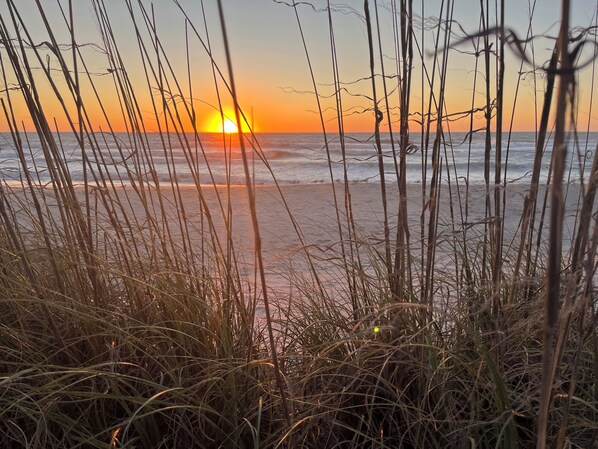 Ein Strand mit hohem Gras im Vordergrund und der untergehenden Sonne über dem Meer.