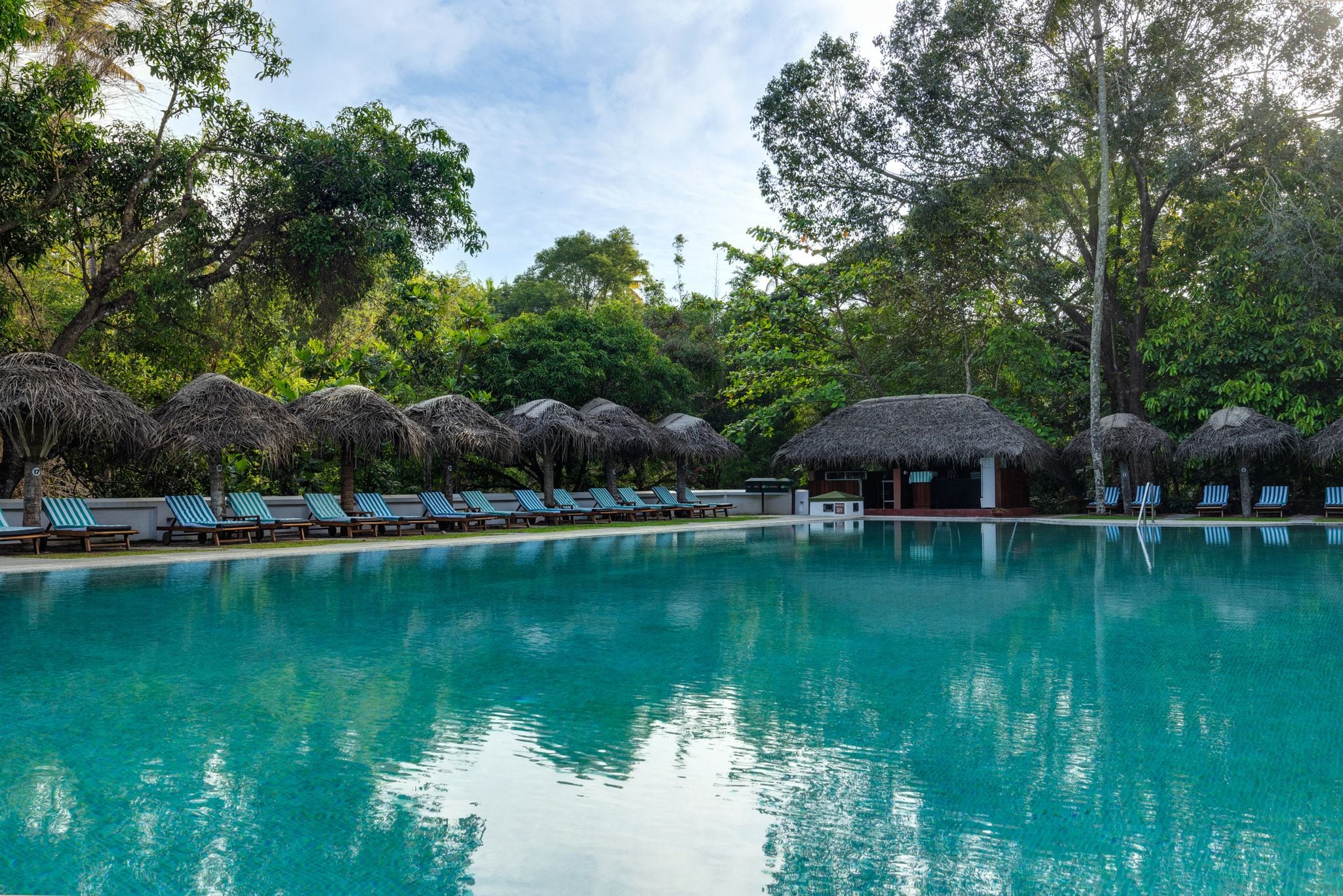 A swimming pool with lounge chairs and thatched-roof structures.