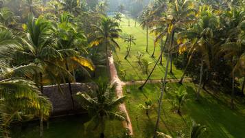 Un paisaje exuberante con palmeras y una zona verde, probablemente un entorno de resort tropical.