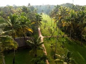 A lush landscape with palm trees and a grassy area, likely a tropical resort setting.