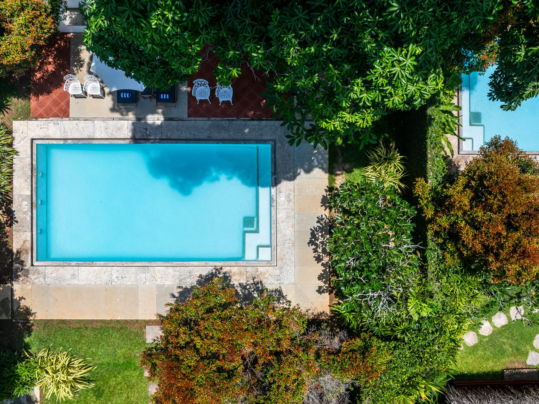 Vista aerea di una piscina rettangolare circondata da vegetazione lussureggiante e un solarium in pietra.
