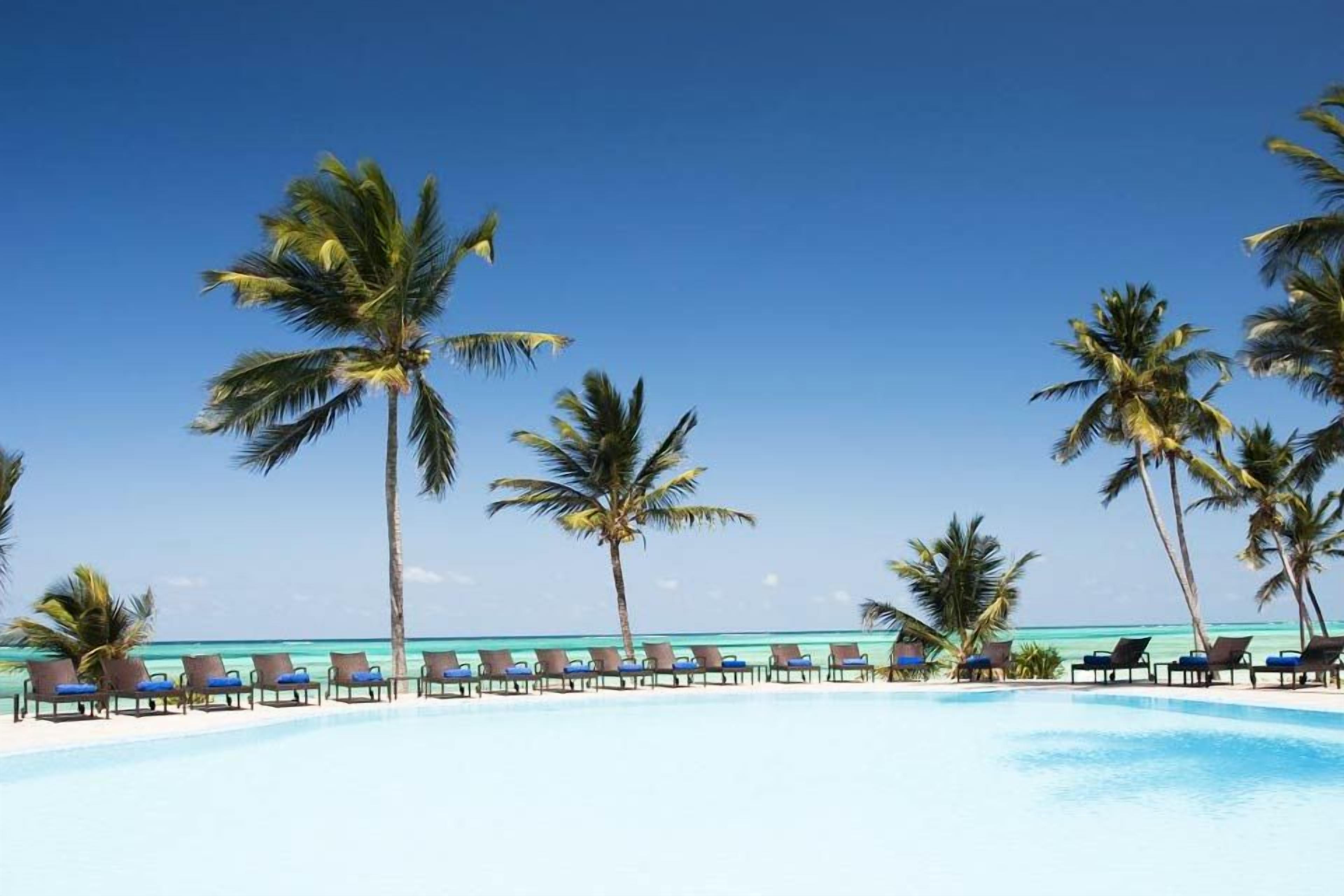 Zona de piscina con sillones de descanso y palmeras.
