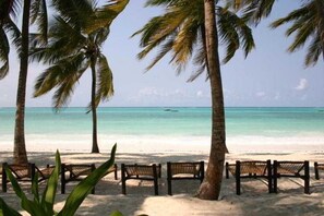 A beach with palm trees and wooden benches. - Karafuu Hotel Beach Resort (Michamvi)