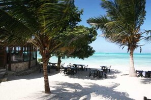 Un restaurante frente al mar con terraza, palmeras y vistas al océano.