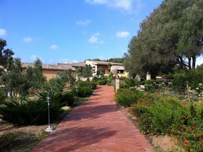A pathway leading to a building with a tiled roof, surrounded by greenery and flowering plants. - Parco Degli Ulivi (Arzachena)
