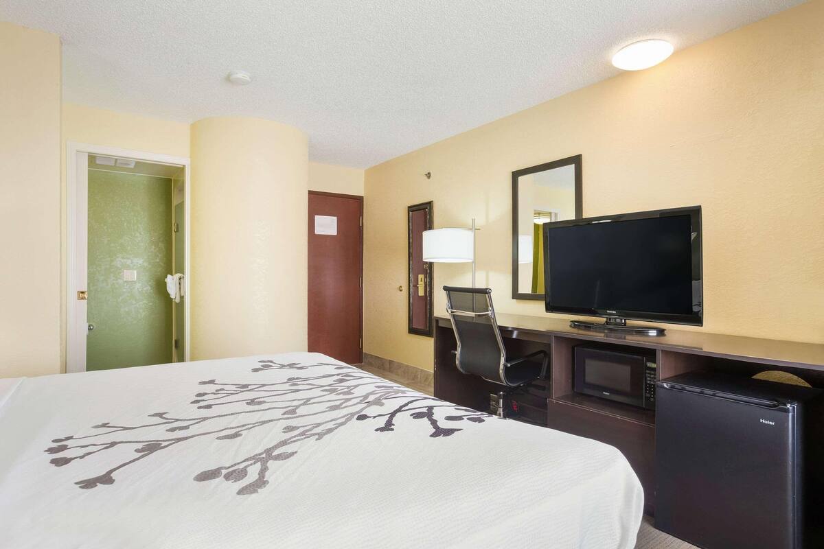 A hotel room with a bed, a desk with a television, a microwave, and a refrigerator.
