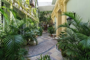 Un cortile con vasi di piante, un vialetto in pietra e una facciata con balconi.