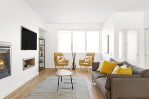 Télévision, cheminée, chaîne hi-fi