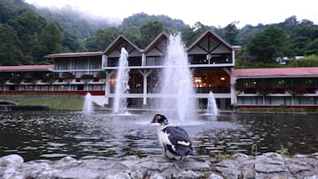 A building with multiple fountains in front, a bird on a rock, and a forested hill in the background.