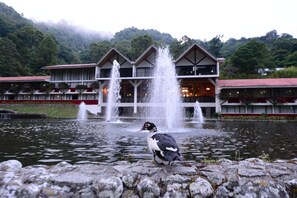 A building with multiple fountains in front, a bird on a rock, and a forested hill in the background. - Hotel Bambito By Faranda Boutique, A Member Of Rad (Cerro Punta)
