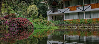Hotel Bambito By Faranda Boutique, A Member Of Rad