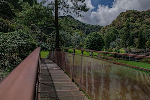 Un puente de metal con barandilla de malla, rodeado de exuberante vegetación y montañas al fondo.