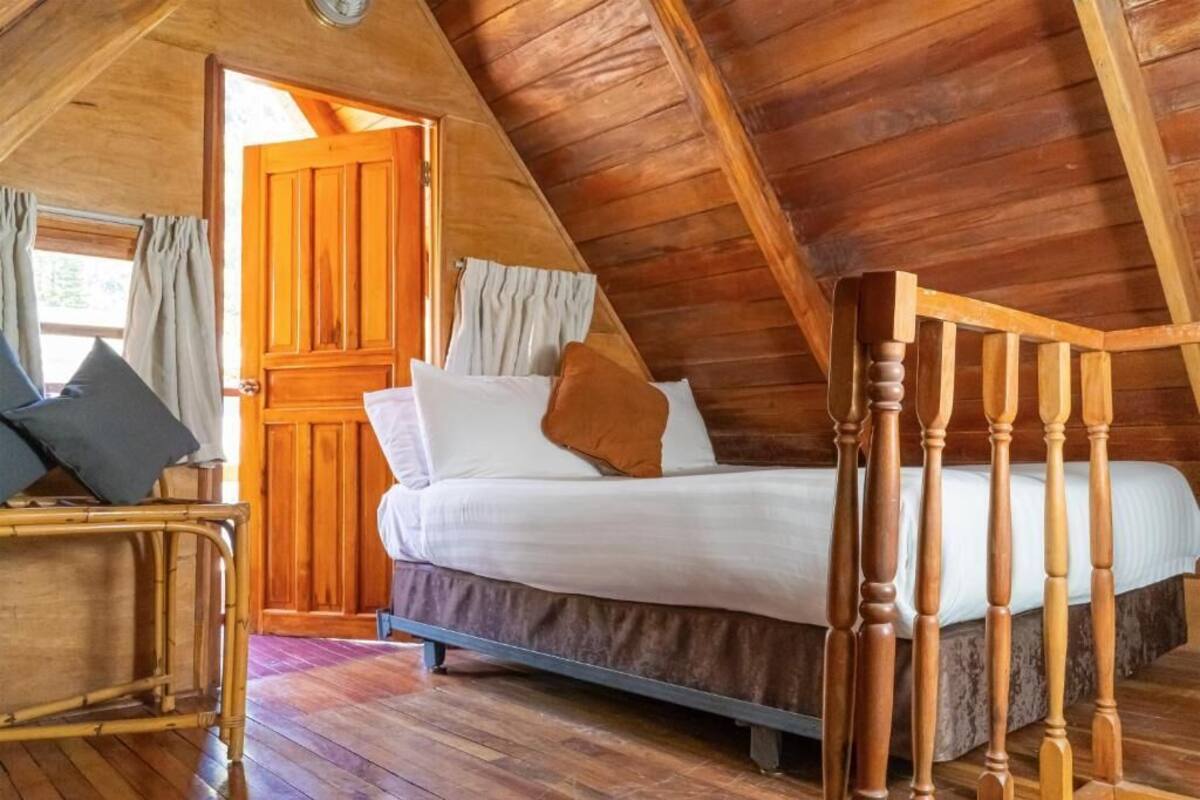 A wooden room with a bed, a door, and a window.