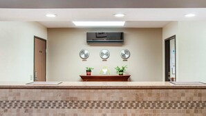 Un espace d’accueil doté d’un comptoir carrelé, d’un téléviseur à écran plat, de trois horloges murales et de plantes en pot.