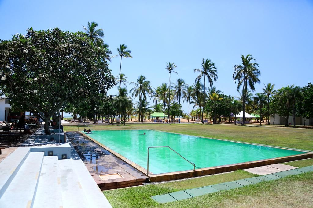 A swimming pool with a grassy area, palm trees, and a clear sky.