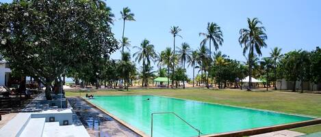 A swimming pool with a grassy area, palm trees, and a clear sky.