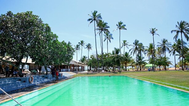 Una piscina con superficie de agua cristalina color azul, rodeada de palmeras y una zona de estar cubierta.