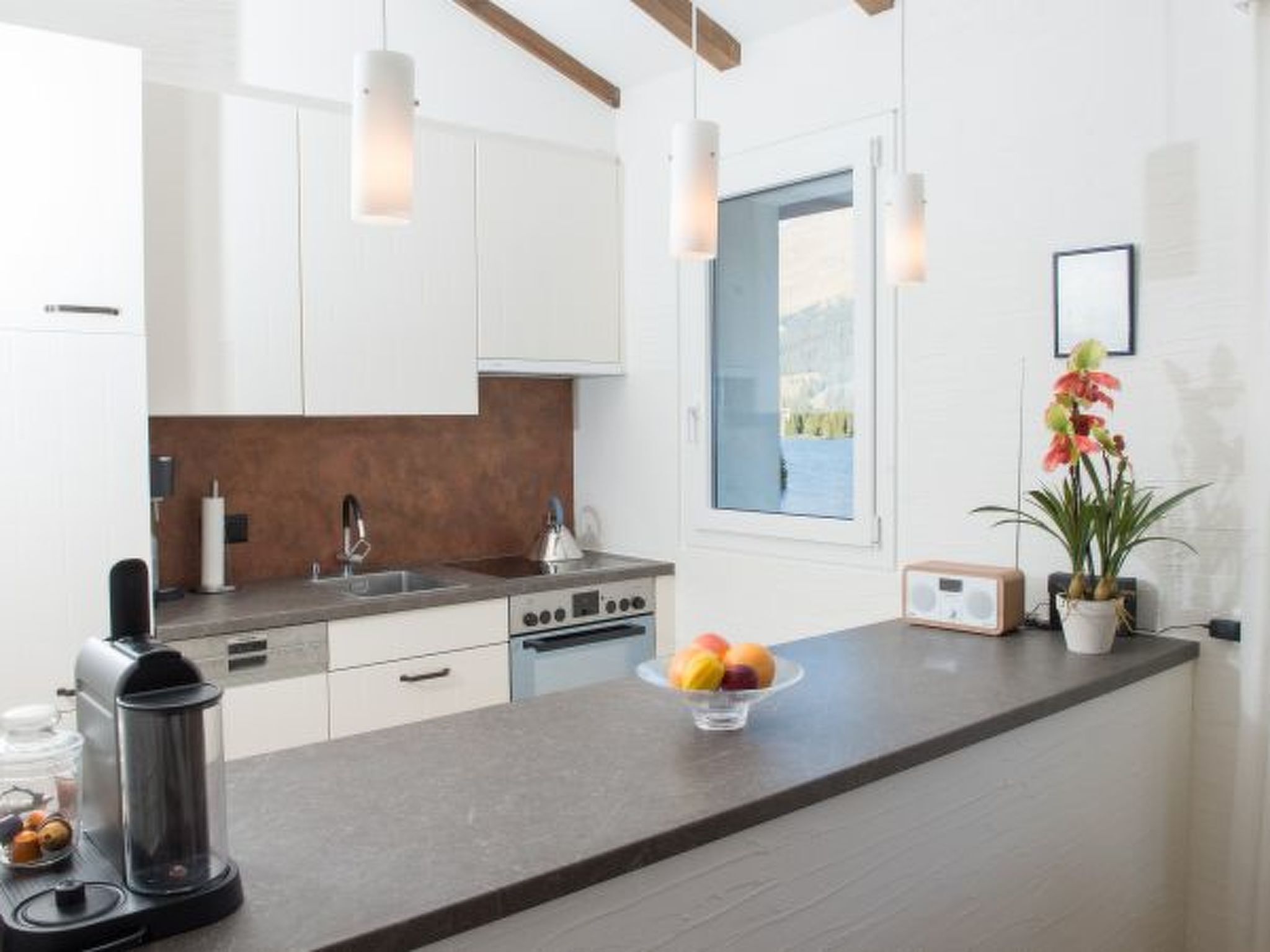 Fridge, oven, dishwasher, cookware/dishes/utensils