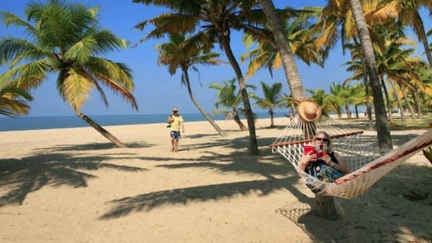 A beach with palm trees, a hammock, and a person walking. - Abad Turtle Beach (Ambalapuzha)