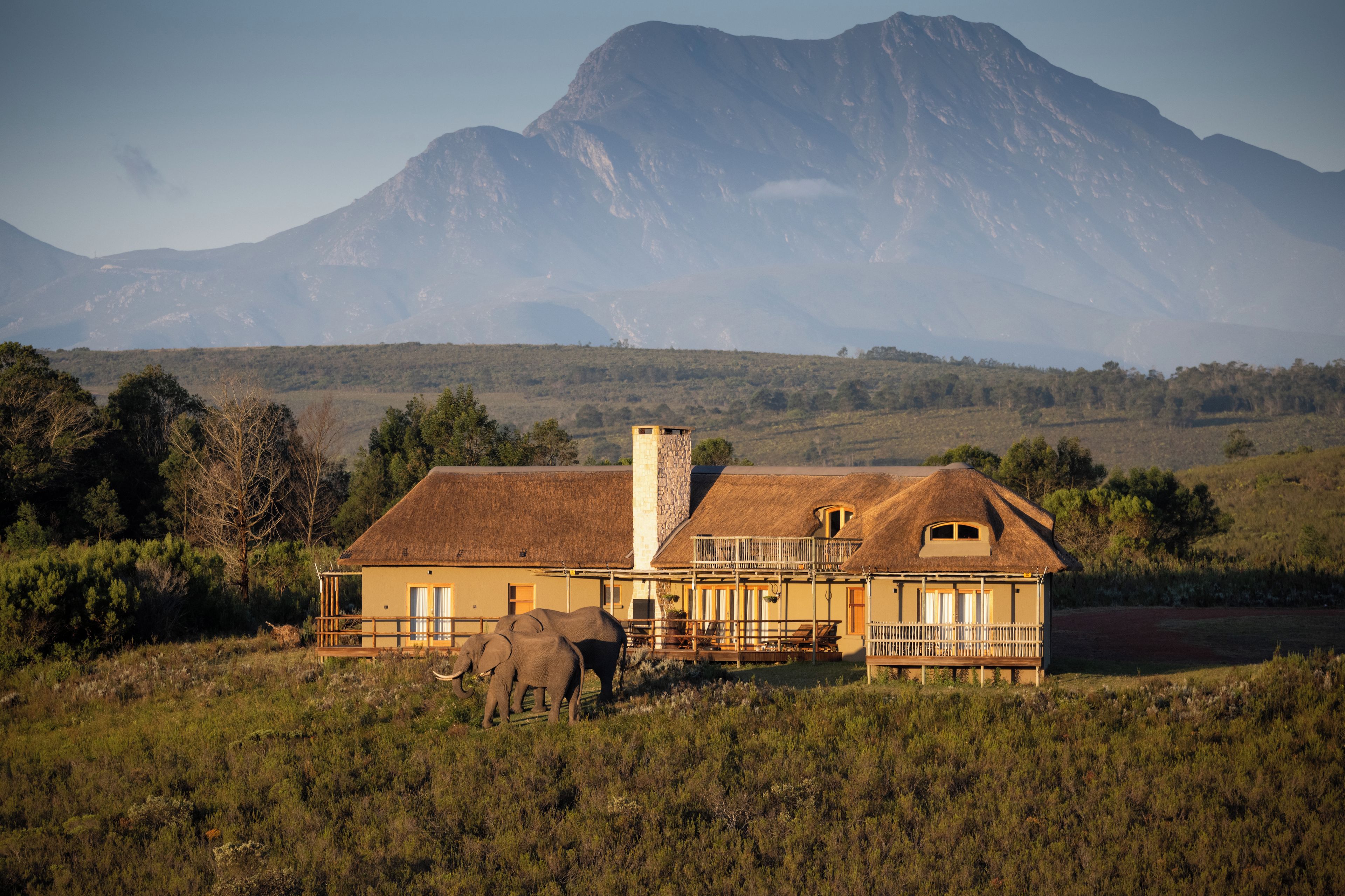 A thatched-roof building with a balcony, surrounded by a natural landscape and a mountain in the background.
