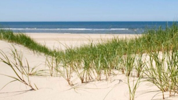 A beach with sand dunes and grass. - CS 34 - Vakantiepark Callassande by Interhome (Callantsoog)