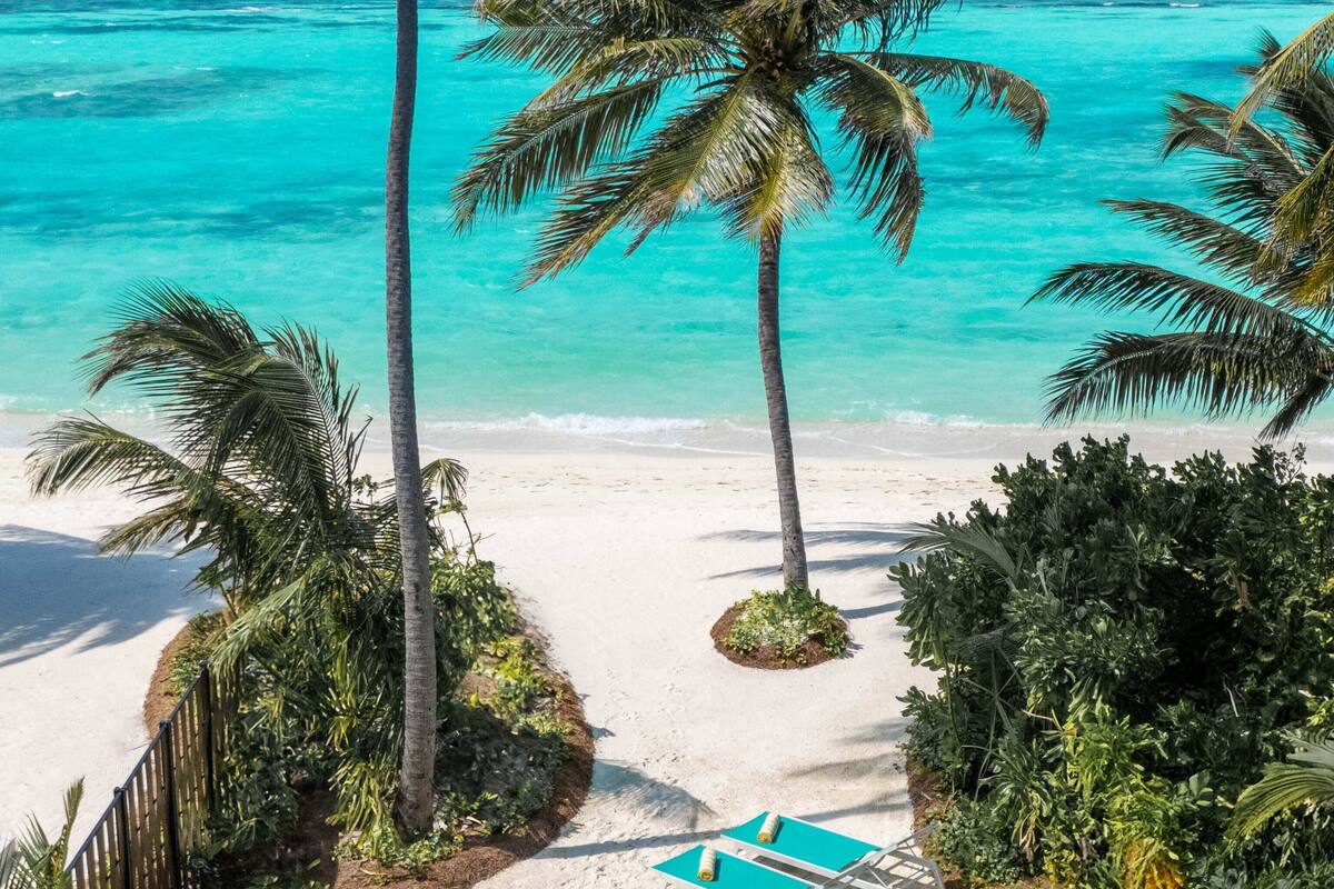 A pool with a view of the beach and ocean, surrounded by palm trees.