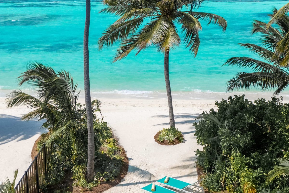 A pool with a view of the beach and ocean, surrounded by palm trees.