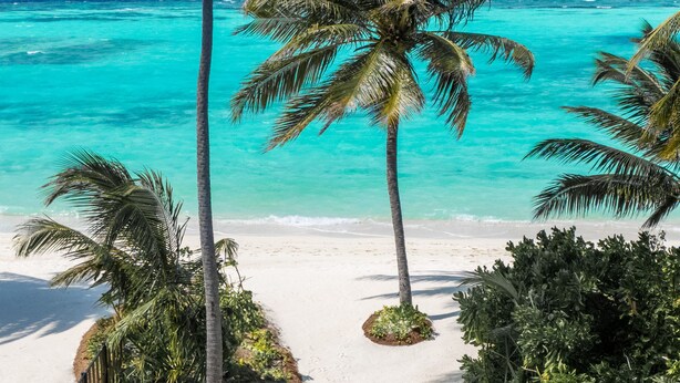 A pool with a view of the beach and ocean, surrounded by palm trees. - Nova Maldives (Malé)