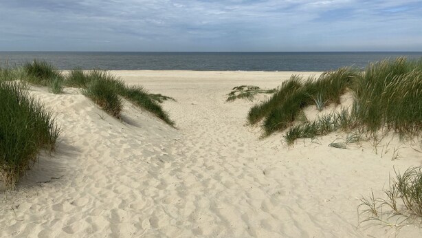 Een zandstrand met duinen en een helder uitzicht op de oceaan.