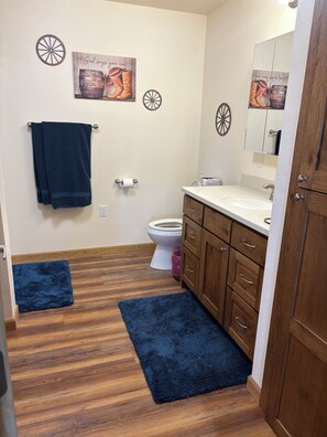 Shower, hair dryer, towels, soap - Quiet Apartment with Mountain Views (Riverton)