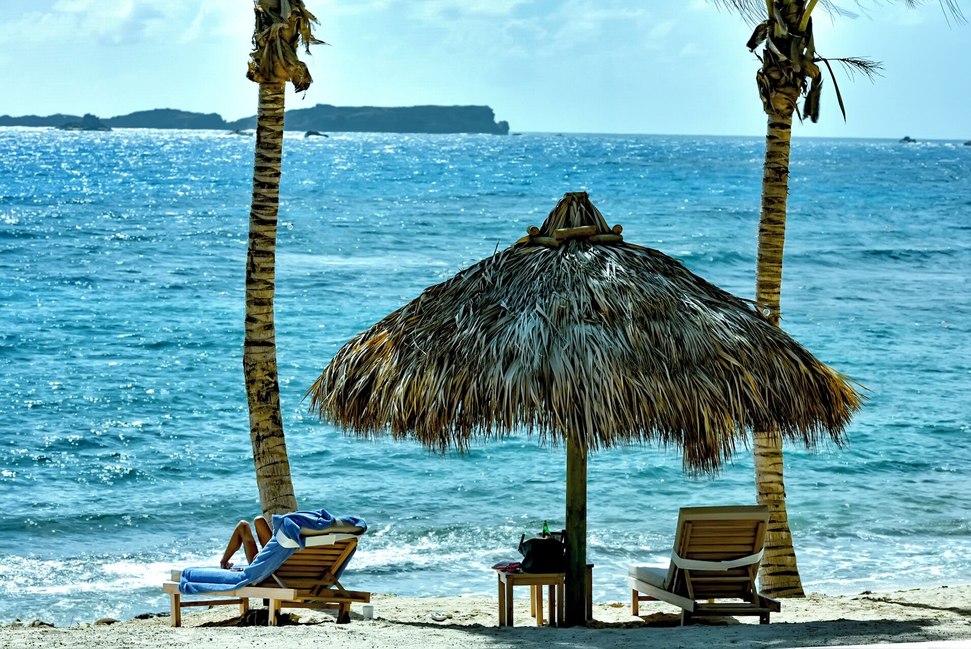 Scuba diving, waterskiing, windsurfing, surfing