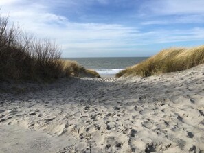 Ein sandiger Strand mit Dünen und freiem Blick auf den Ozean.