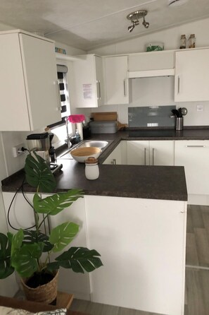 Eine moderne Küche mit weißen Schränken, einer schwarzen Arbeitsplatte und einem Blumentopf.